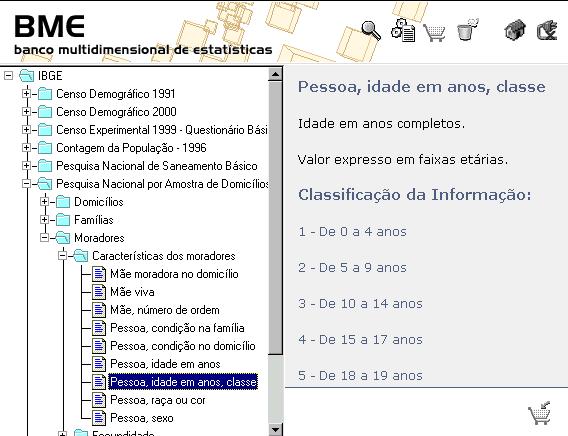 arvore1.jpg